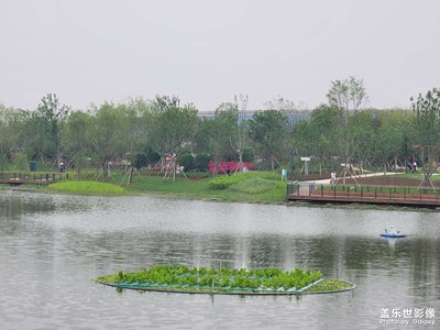 花博會(huì)開啦哈哈