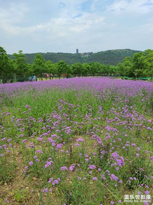 香山湖風(fēng)景