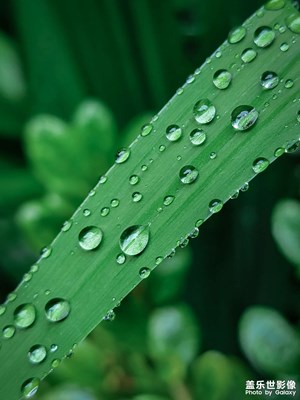 雨后