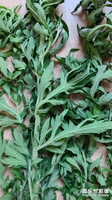 老祖宗的東西不能忘