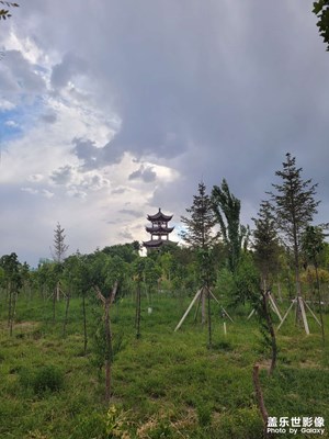 端午游公園