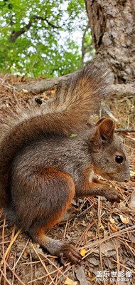 【隨處風景】+鐵嶺龍首山