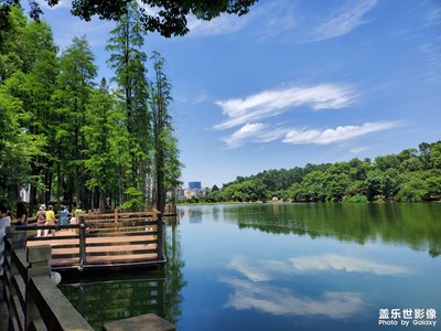 去年s8+換了note10,出來冒個泡。