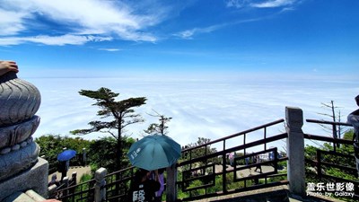 這幾張照片好看不？