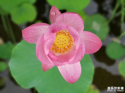 下雨。。。