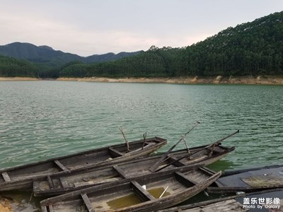 廉頗老矣，這個(gè)手機(jī)拍照不合適放大，