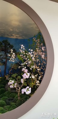 半園春色一點(diǎn)紅