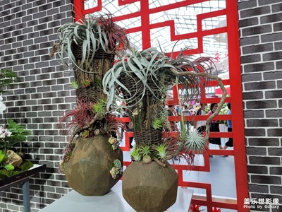 哈哈，花博會(huì)開啦