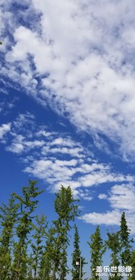 戶外走走，隨手拍。