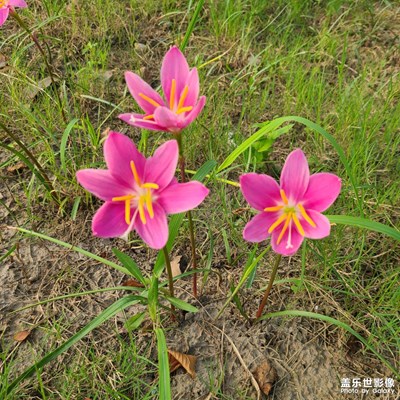 隨手一拍