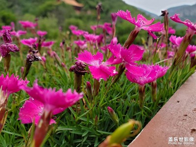 兩年前的S10＋拍照