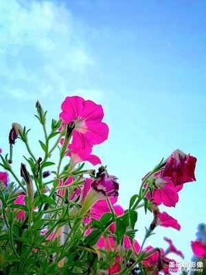 【留住精彩】+花間集