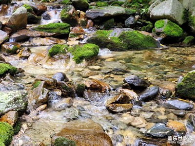 秦嶺情侶溪一游