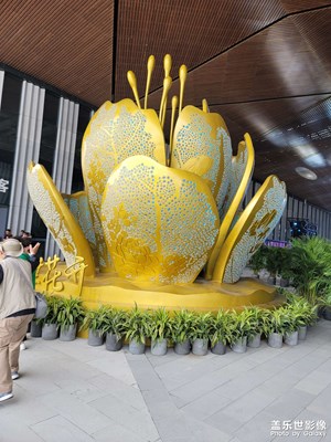 花博會(huì)開啦哈哈