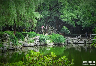 【星動一夏】夏日生活氣息