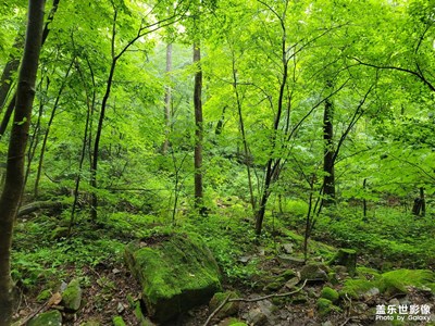 【星動一夏】+五女峰