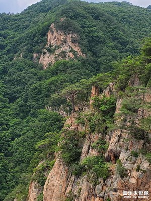 【星動(dòng)一夏】+林中漫步