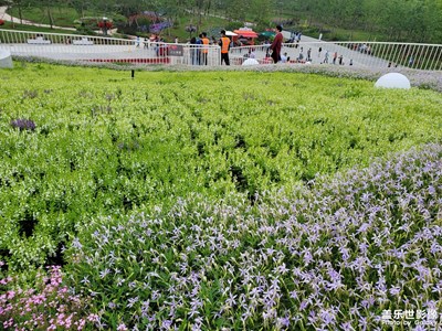 花博會(huì)開啦哈哈