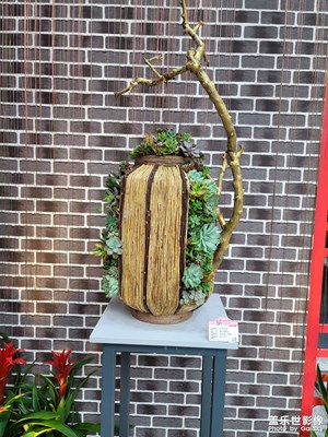 花博會(huì)結(jié)束了，來(lái)回一下