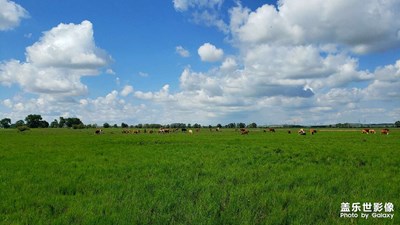 邂逅草原·錫林郭勒