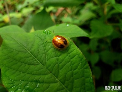 【星動一夏】+山游