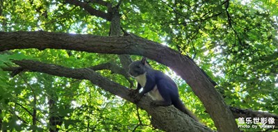 隨手拍龍首山昆蟲(chóng)