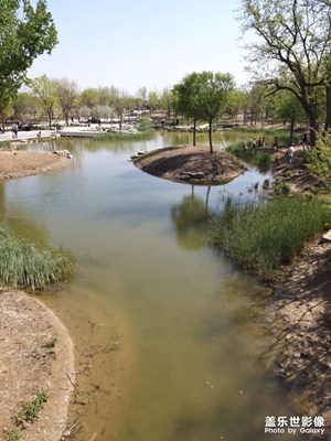 【夏了夏天】隨拍