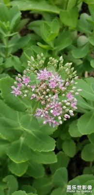 【夏了夏天】隨手拍