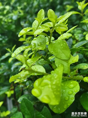 CUP的風(fēng)景不錯(cuò)