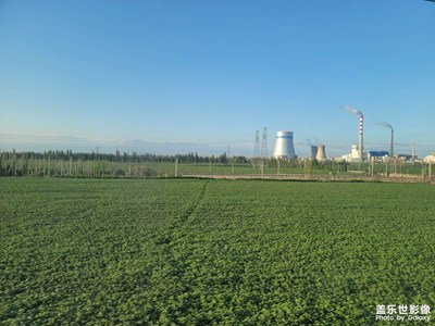 今日照片 古爾邦節(jié)