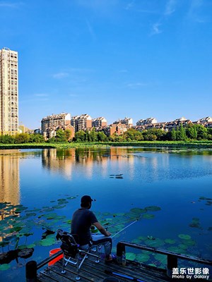 【星動一夏】+邊走邊拍 清晨夜幕下的美