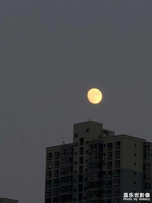 城里的月光