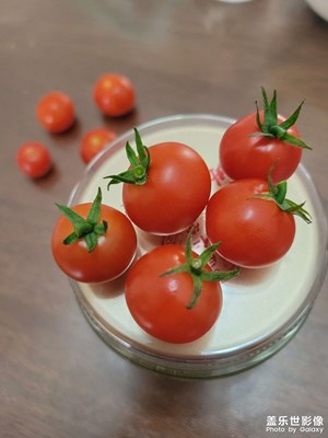 花盆里中的小西紅柿