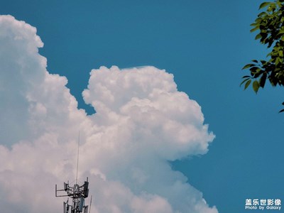 愛意隨風(fēng)起