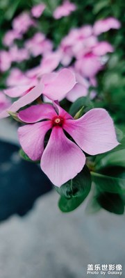 直出與濾鏡對(duì)比