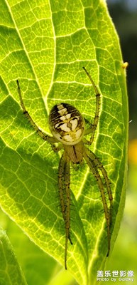 【不負美好】隨手拍