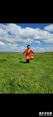 放飛貢格爾草原