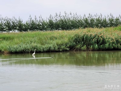 陜甘寧青大環(huán)線5000km自駕行