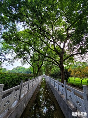 一條路彎彎曲曲細(xì)又長