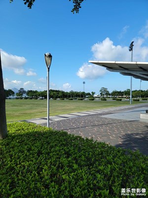 永遠(yuǎn)的深圳灣