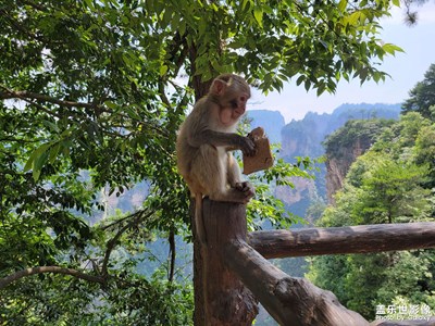 湖南張家界天門(mén)山隨拍