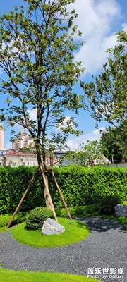 像素不是越大越好，看看三星的成像。