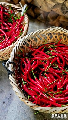 夏天，聞到了豐收的味道