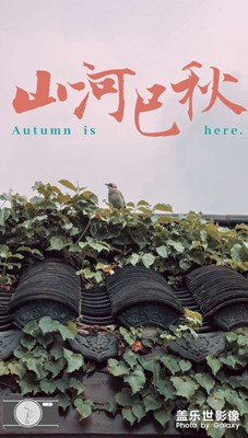 轉(zhuǎn)眼間…已是秋