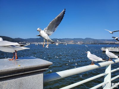 云南昆明海埂公園