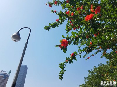 【煙火人間】 日常隨拍