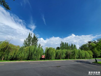 上次途經(jīng)西昌  去濕地公園看了看