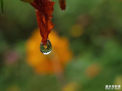 雨滴，專業(yè)模式