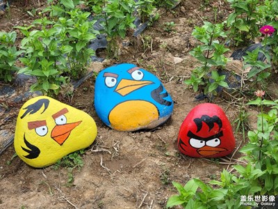 【靜默時光】 瘋狂的石頭