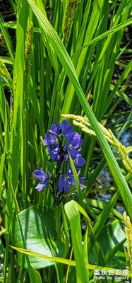 南崴子水庫?。。。。。。?！